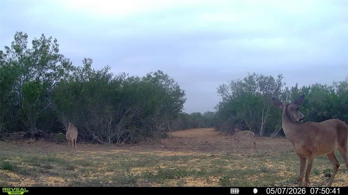 25 acres in Duval County - photo 37