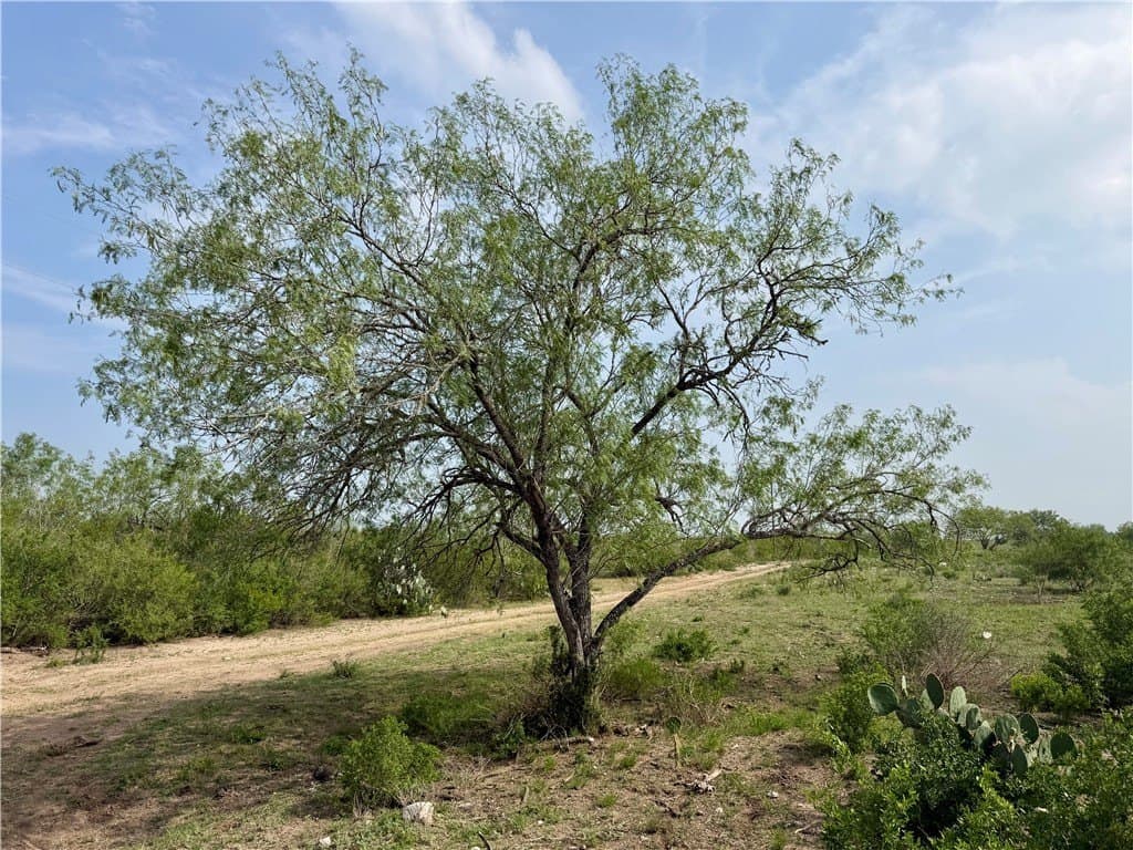 25 acres in Duval County - photo 34