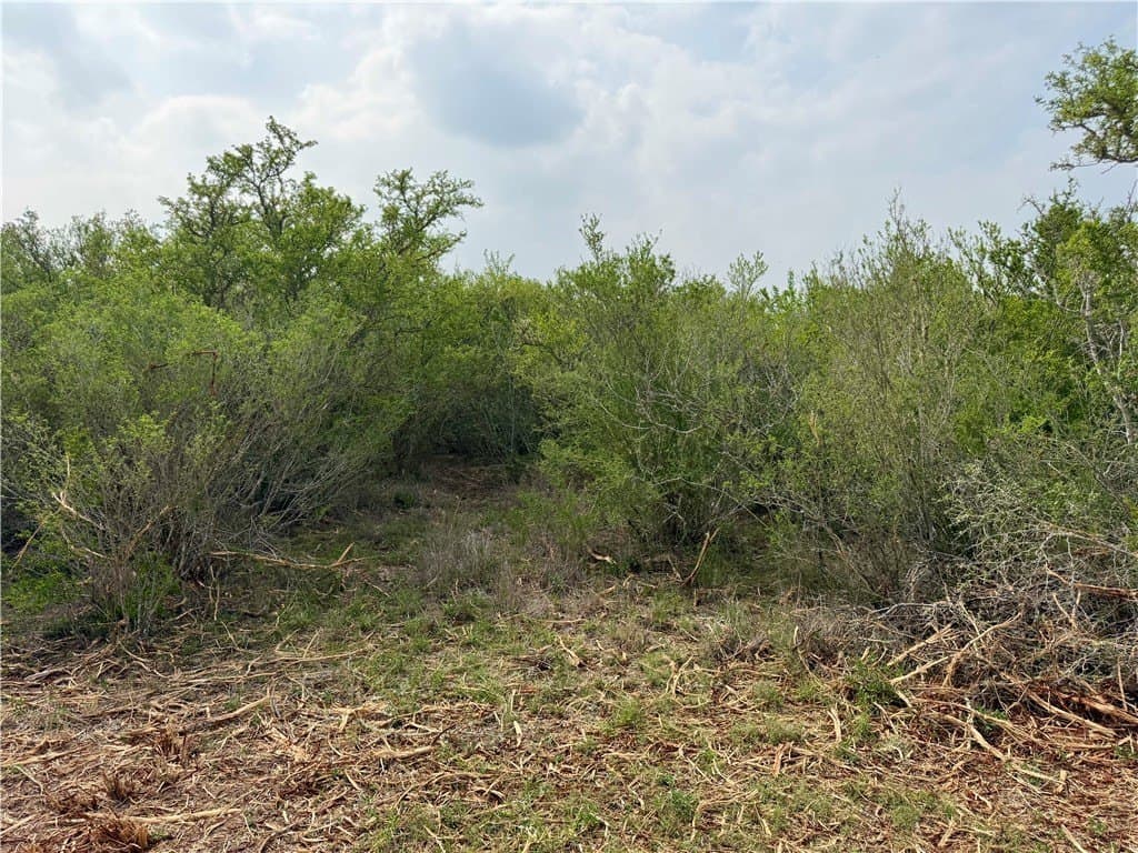 25 acres in Duval County - photo 20