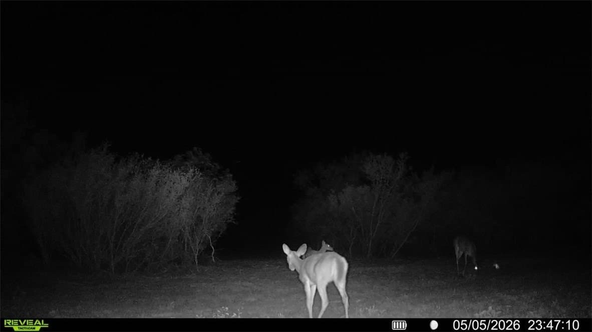 25 acres in Duval County - photo 27