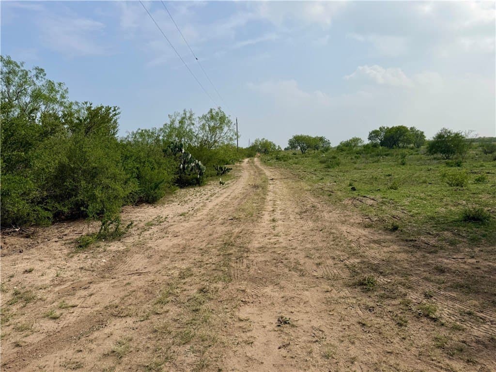 25 acres in Duval County - photo 13