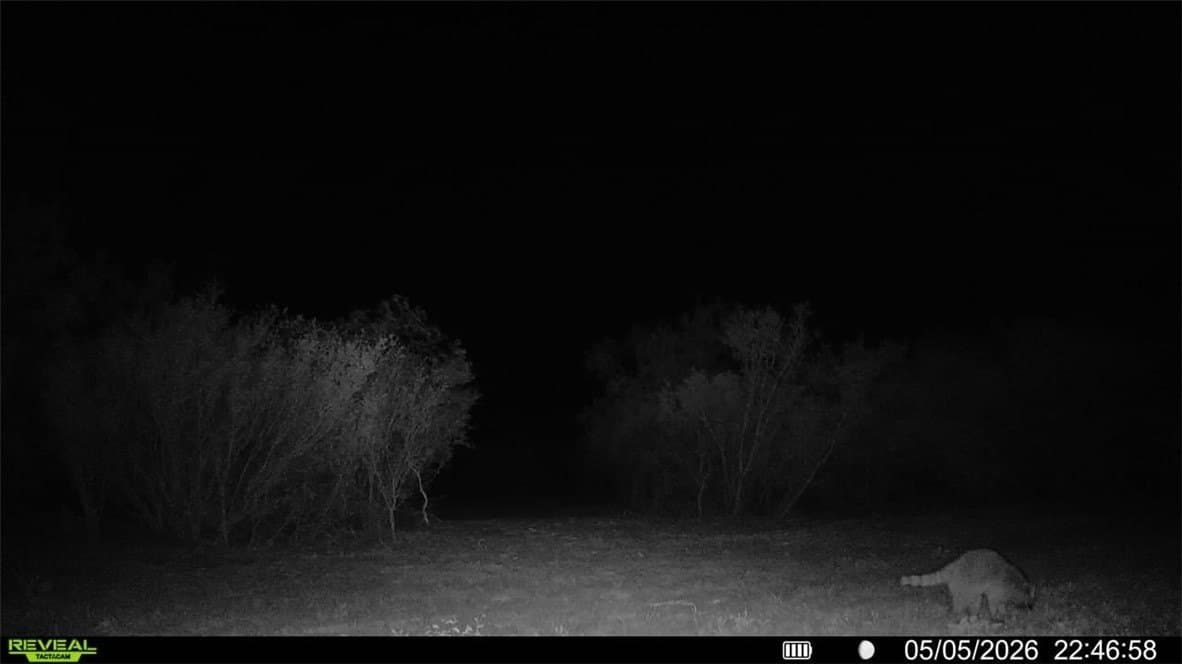 25 acres in Duval County - photo 30