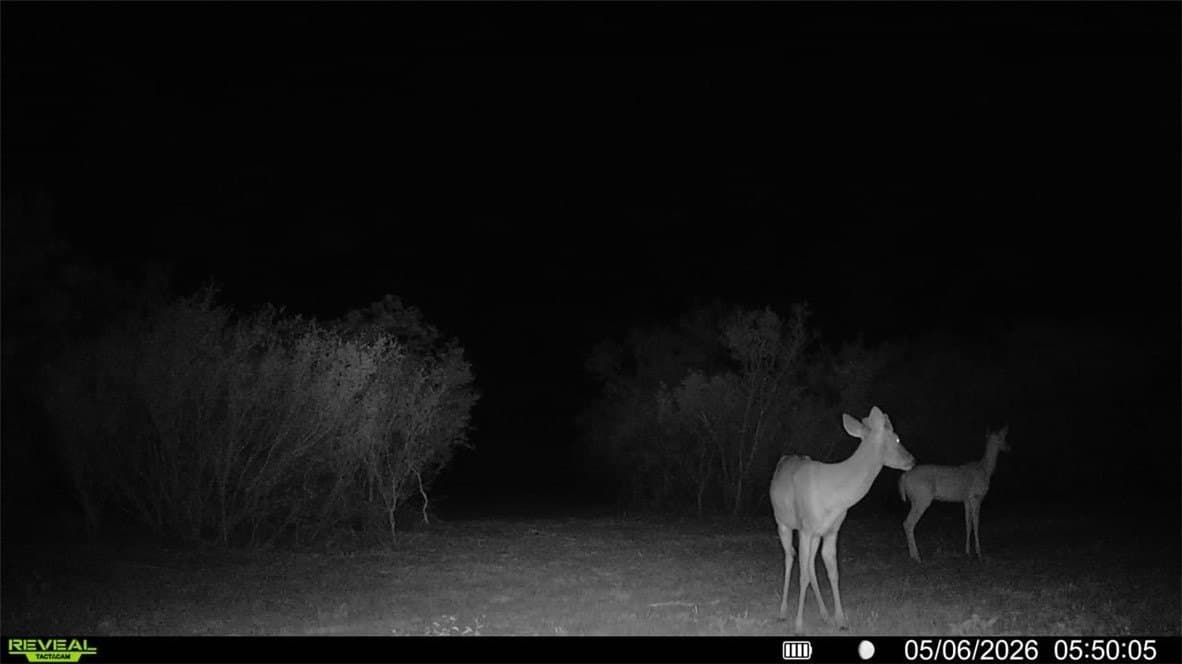 25 acres in Duval County - photo 39