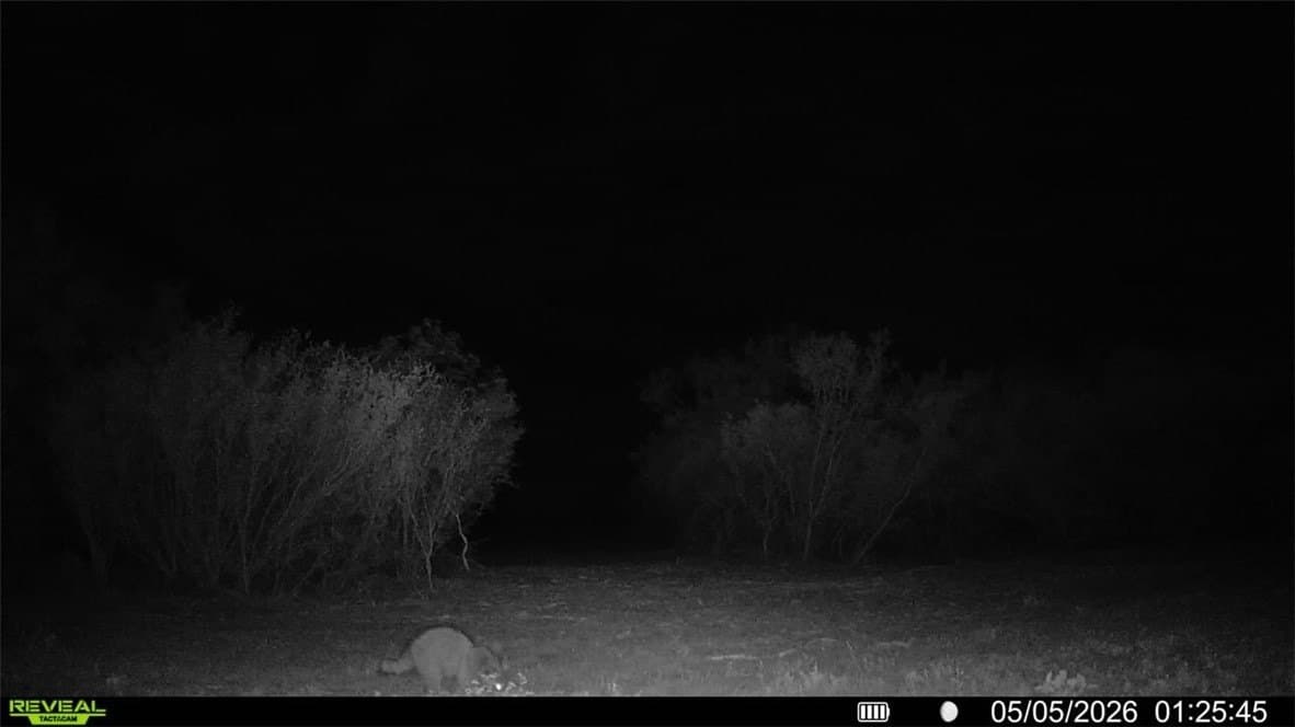 25 acres in Duval County - photo 33