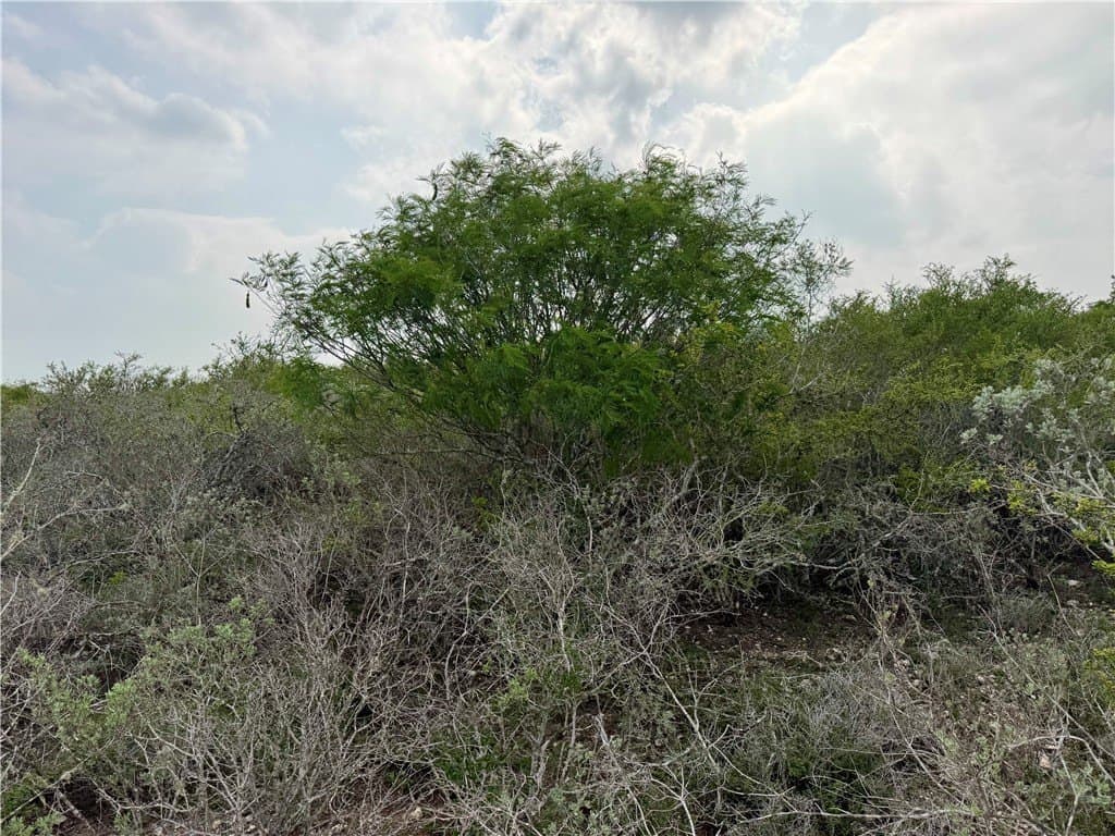 25 acres in Duval County - photo 35