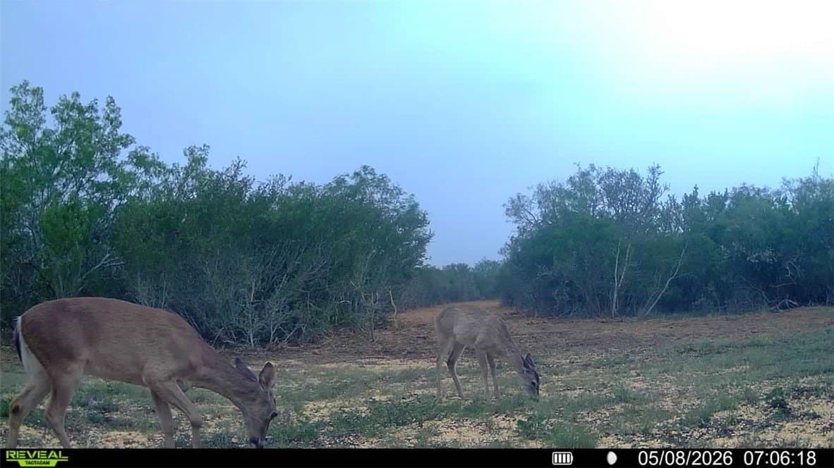 25 acres in Duval County - photo 15