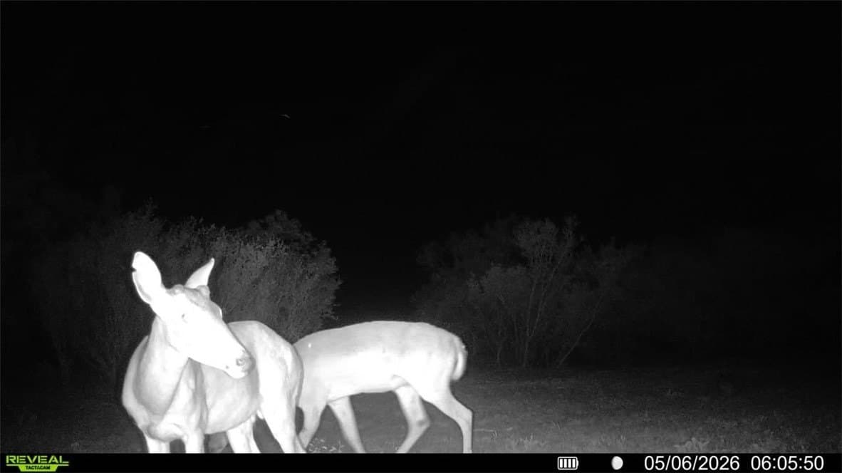 25 acres in Duval County - photo 23
