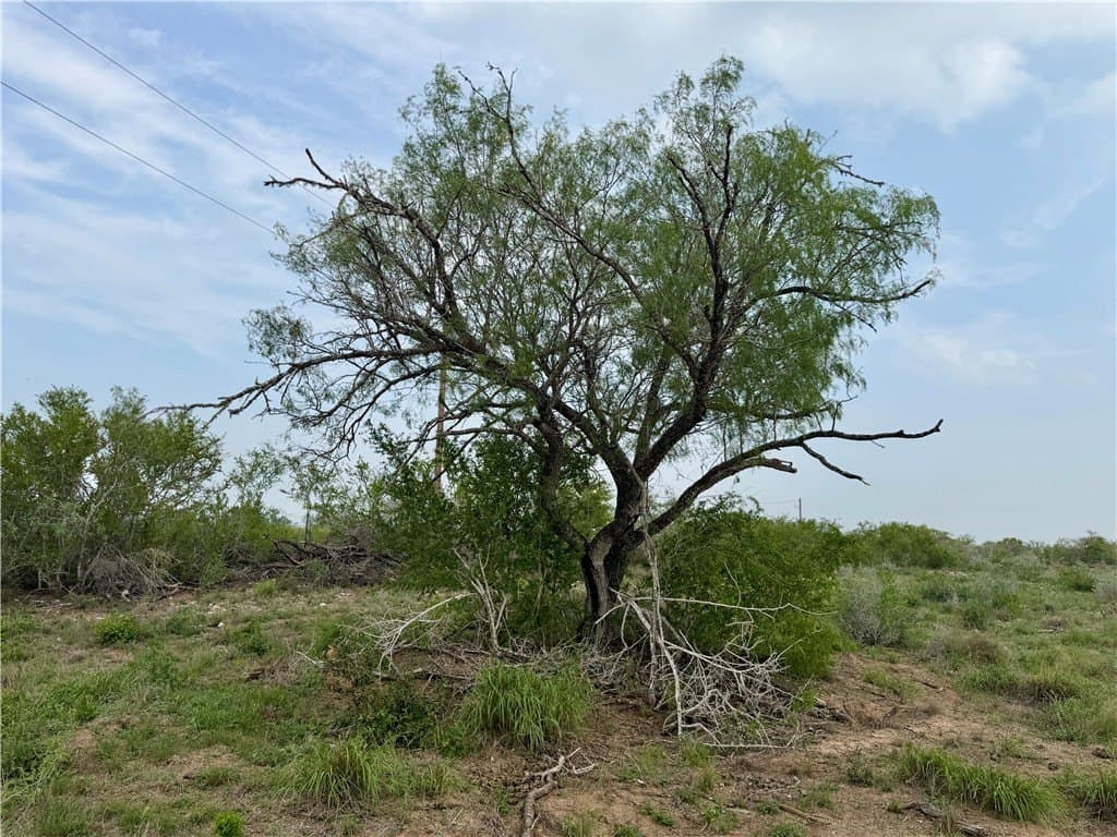 25 acres in Duval County - photo 16