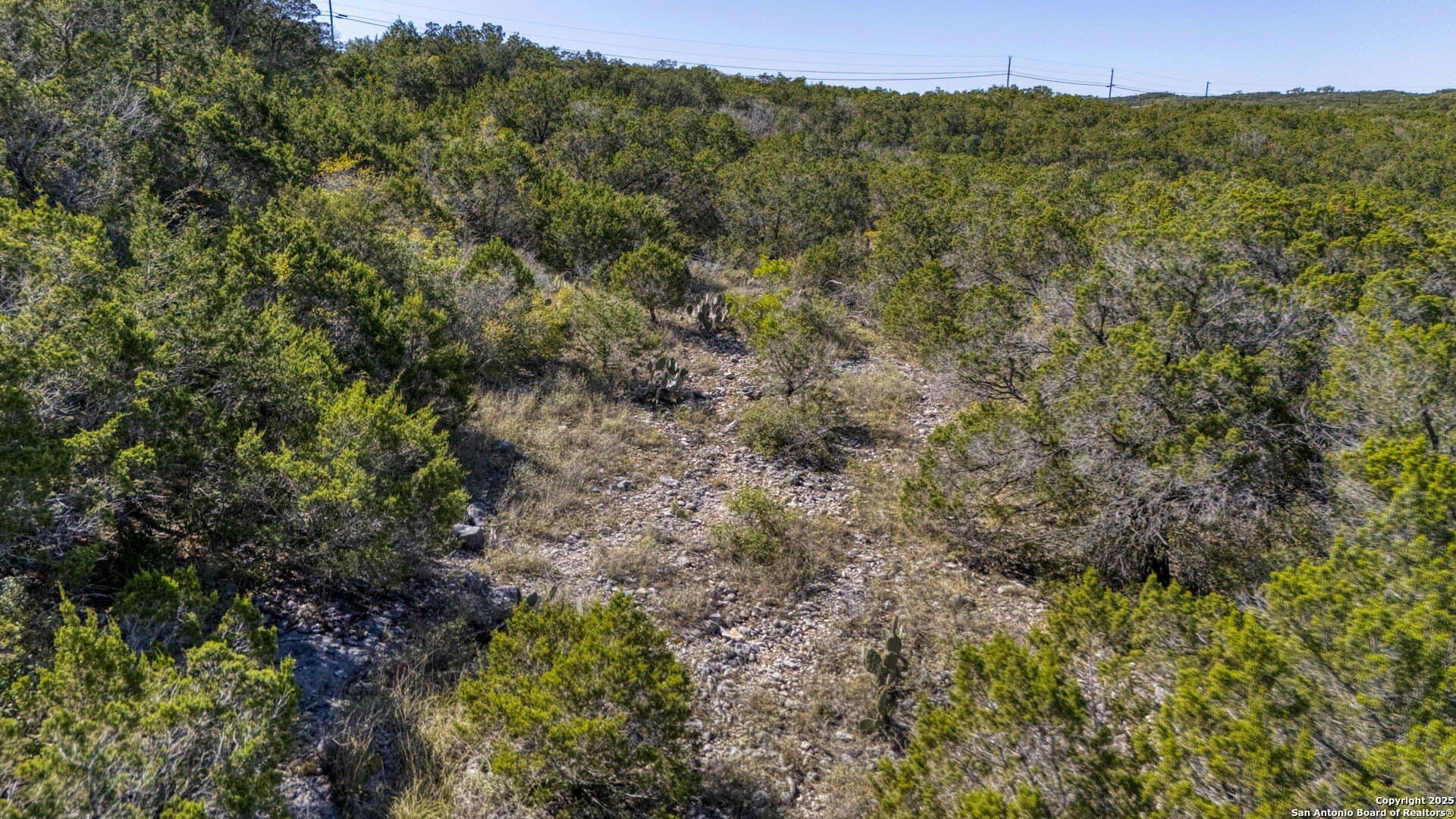 10 acres in Medina County - photo 45