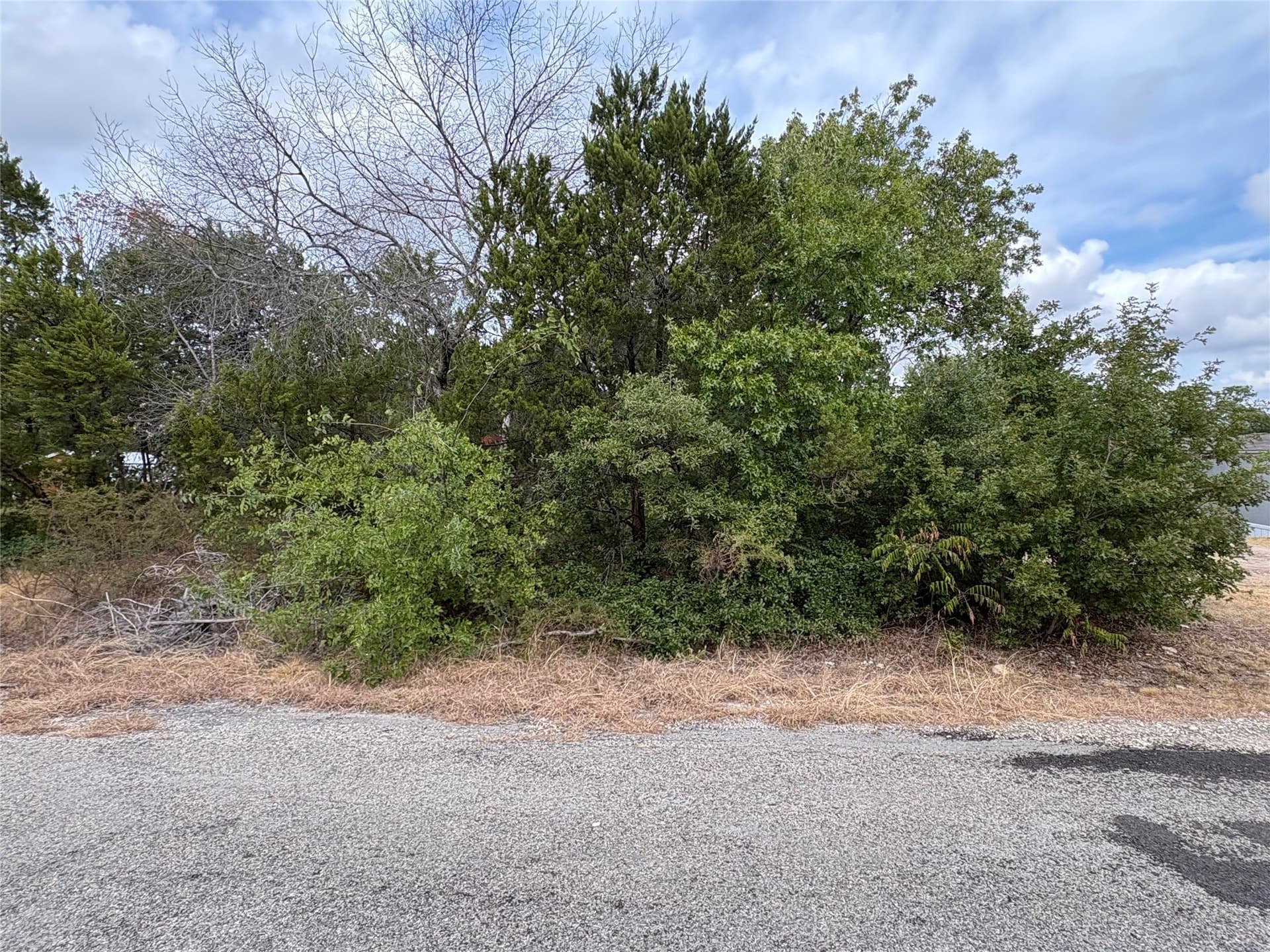 0.06 acres in Hood County - photo 3