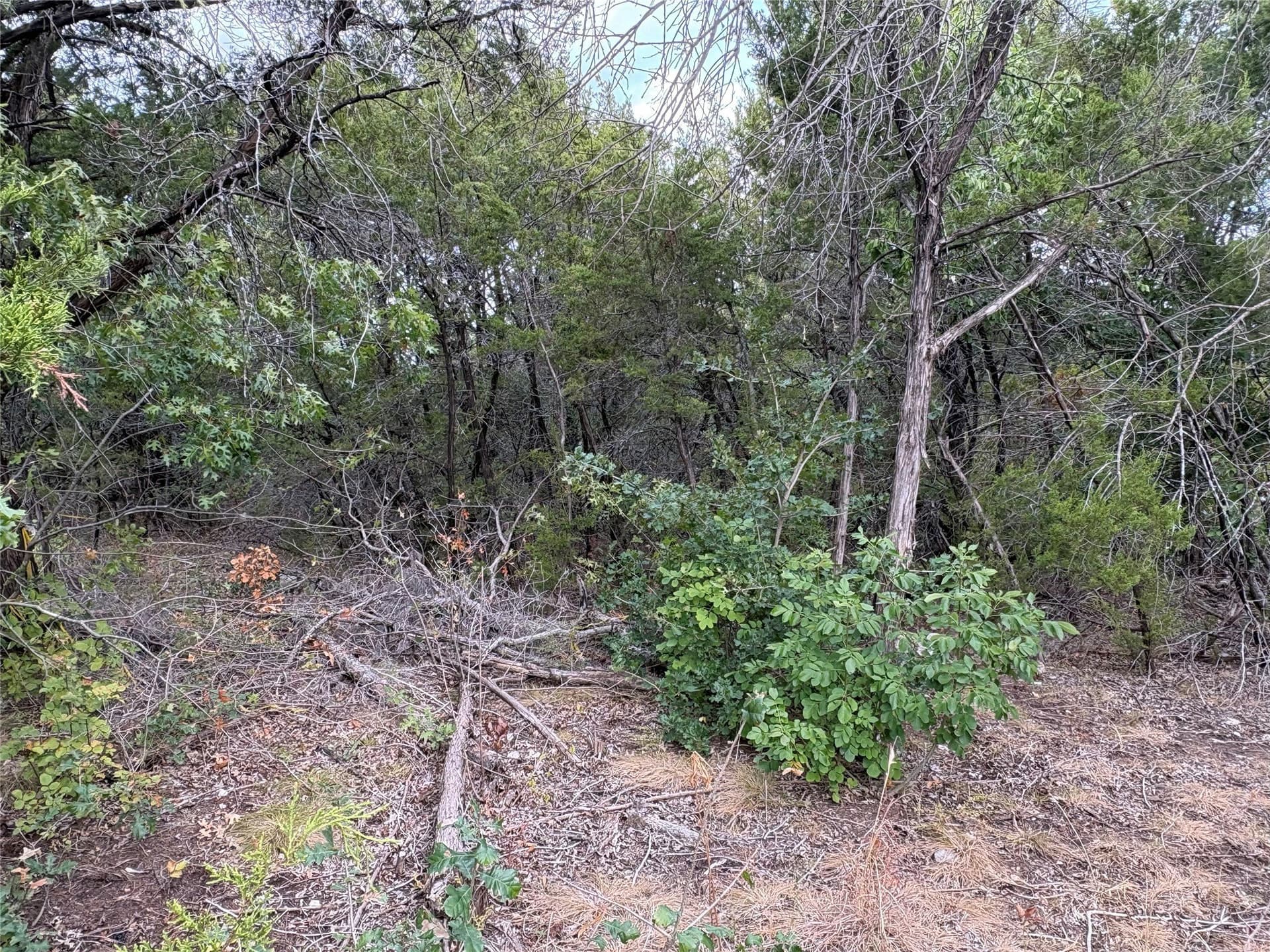 0.06 acres in Hood County