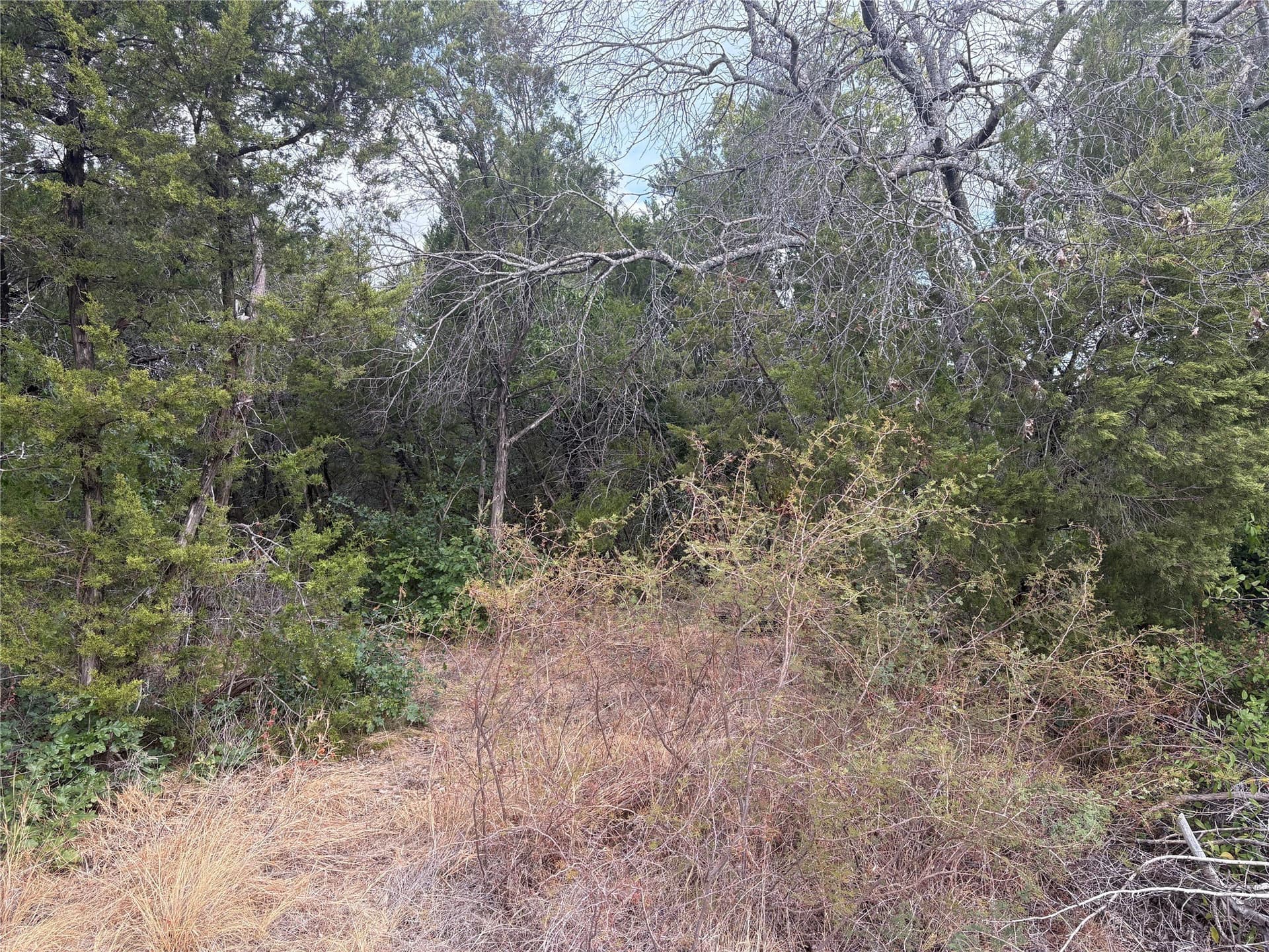 0.06 acres in Hood County - photo 4