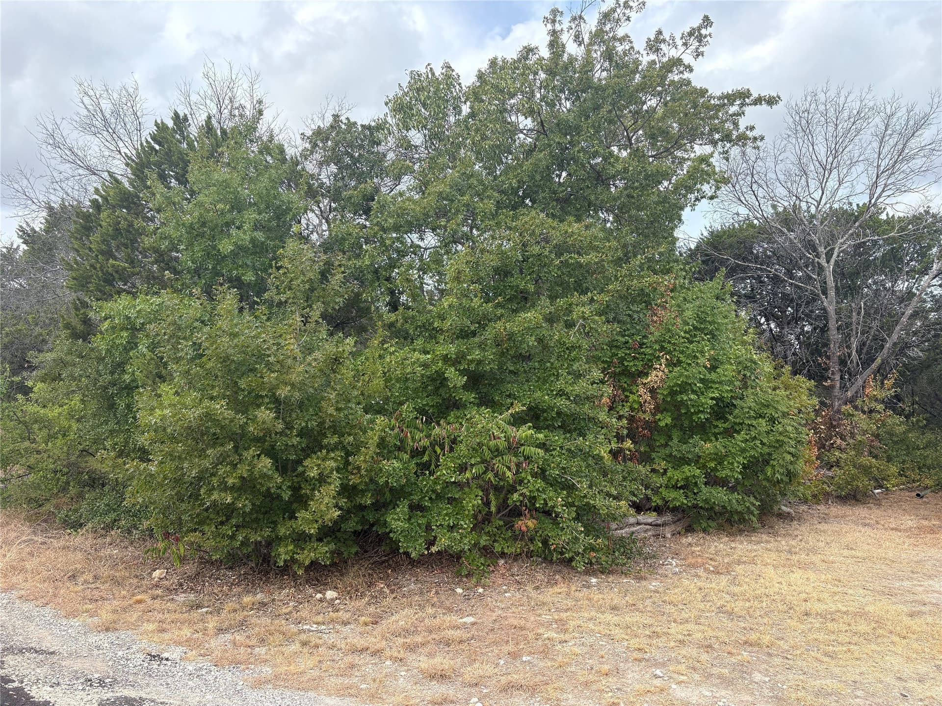 0.06 acres in Hood County - photo 2
