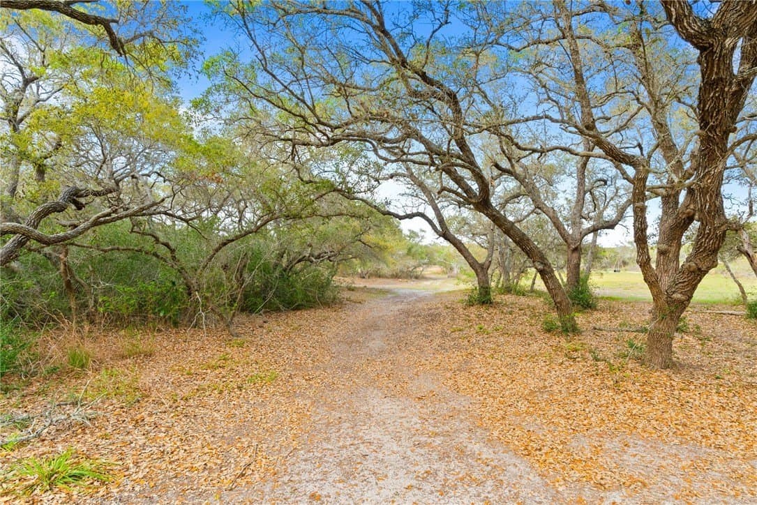 100,000 acres in San Patricio County - photo 23