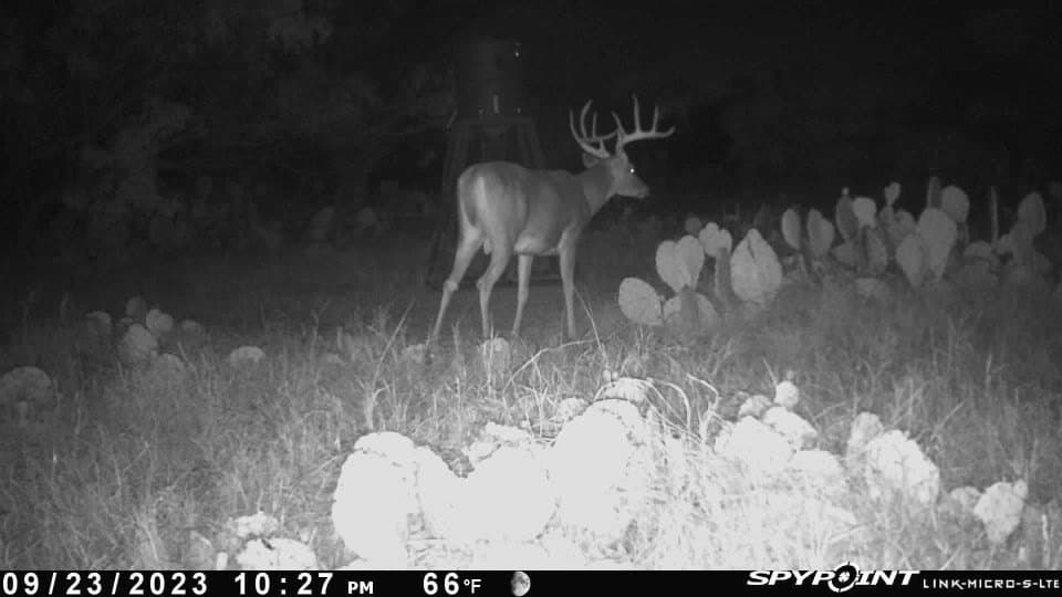 75 acres in Mitchell County - photo 24