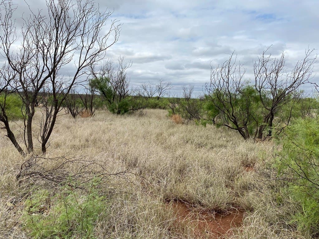 75 acres in Mitchell County - photo 17