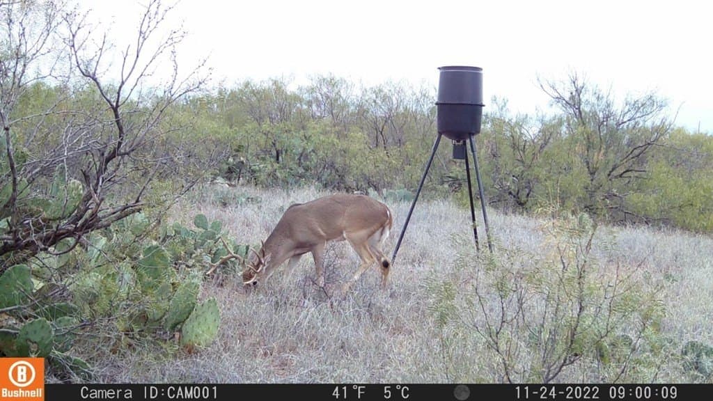 75 acres in Mitchell County - photo 26