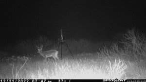 75 acres in Mitchell County - photo 32