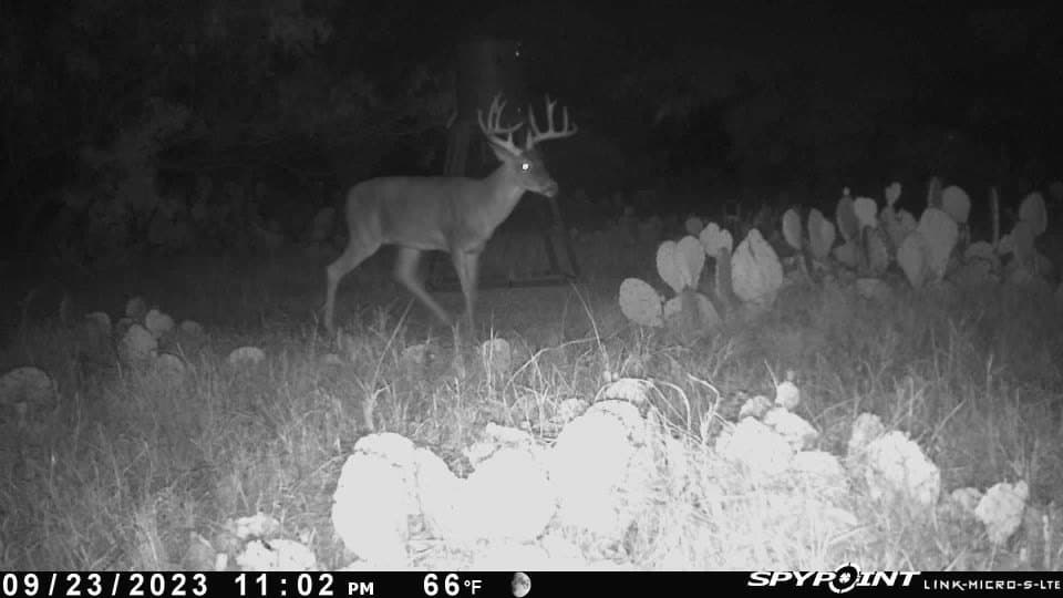 75 acres in Mitchell County - photo 23