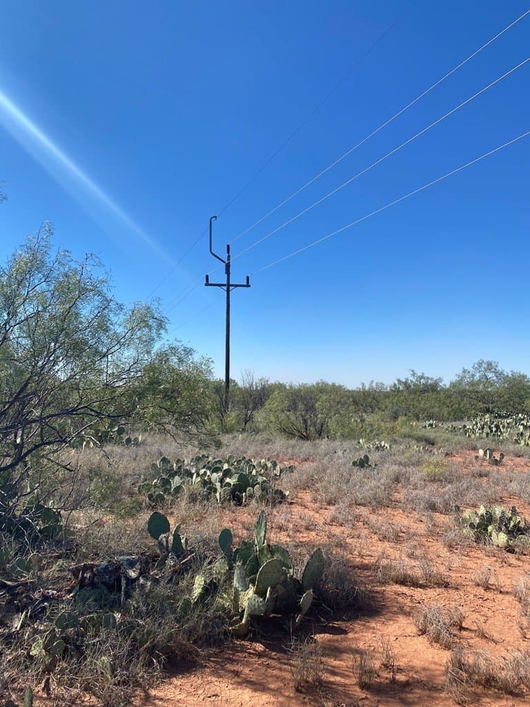 75 acres in Mitchell County - photo 7