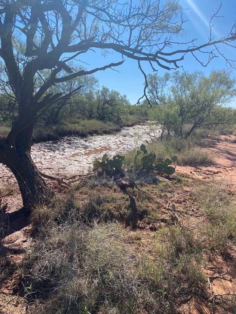75 acres in Mitchell County - photo 8