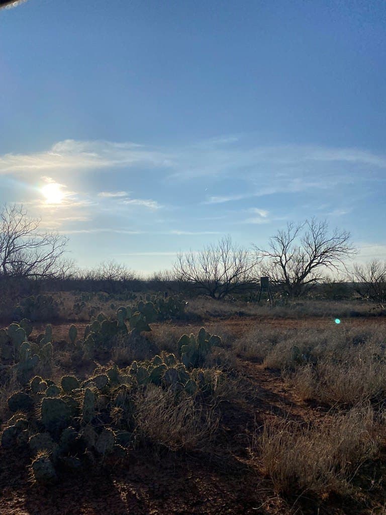 75 acres in Mitchell County - photo 6