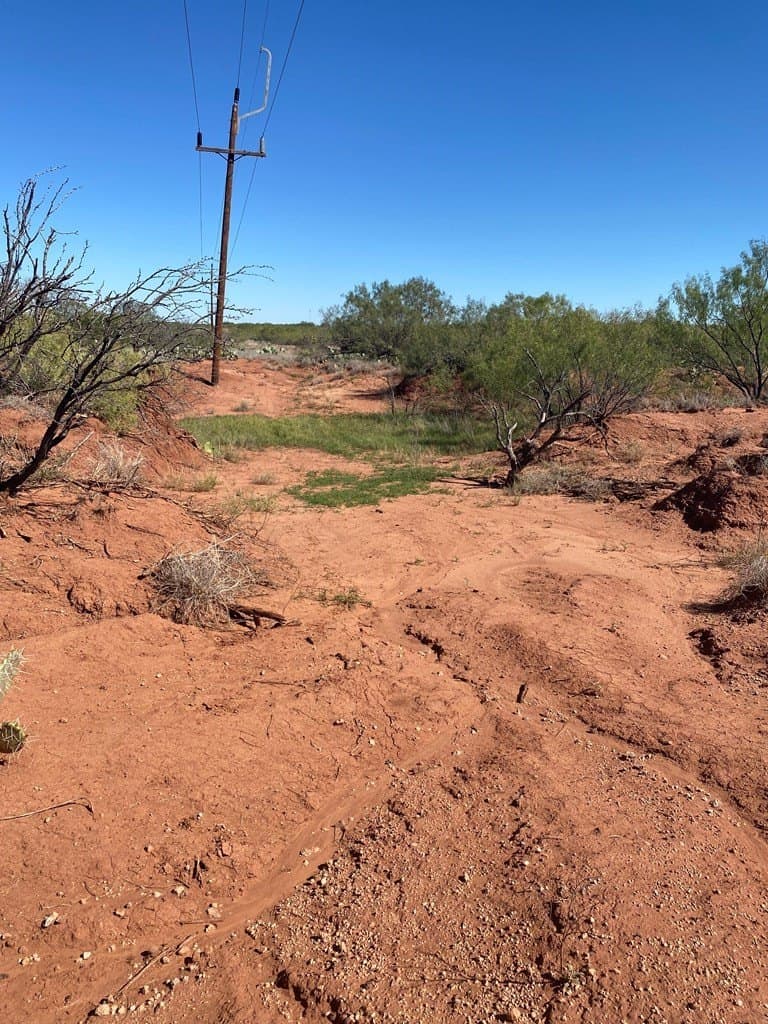 75 acres in Mitchell County - photo 16