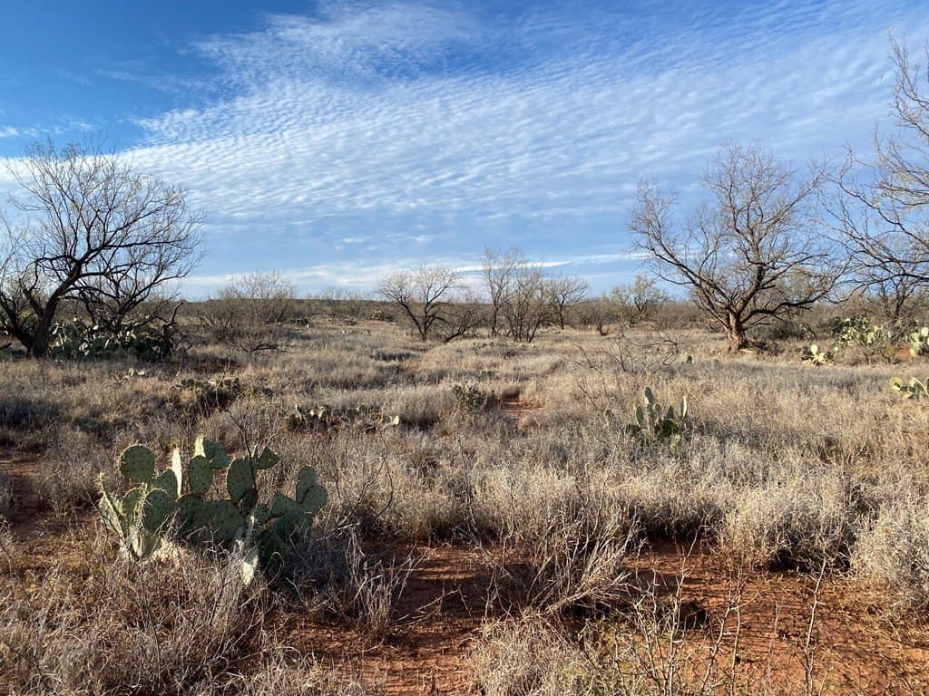 75 acres in Mitchell County - photo 5