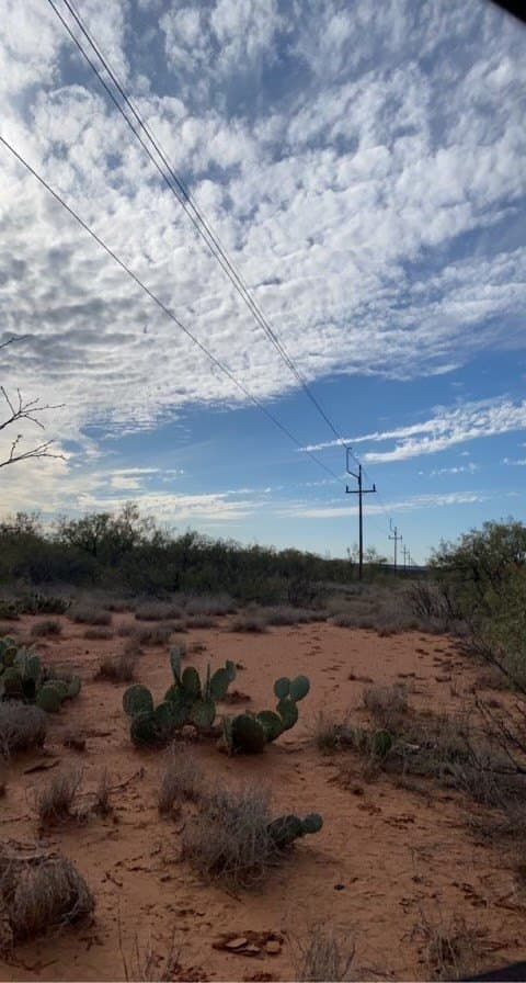 75 acres in Mitchell County - photo 11