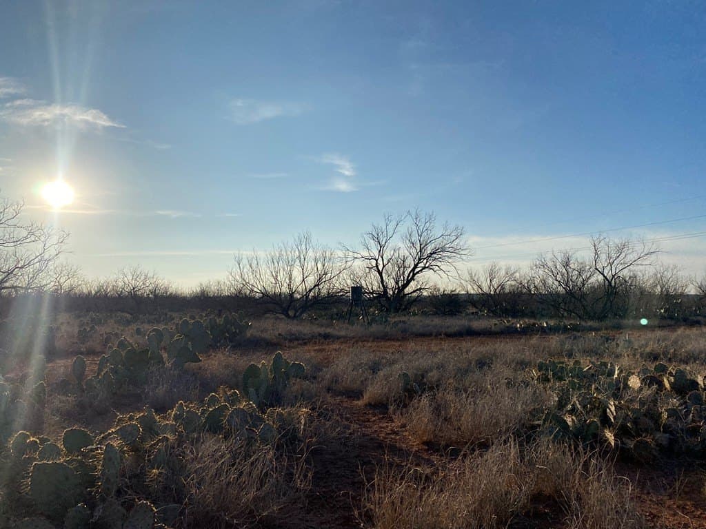 75 acres in Mitchell County - photo 4