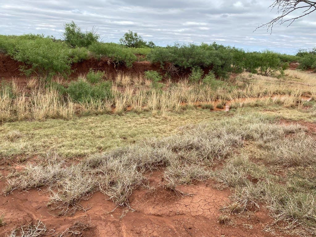 75 acres in Mitchell County - photo 21