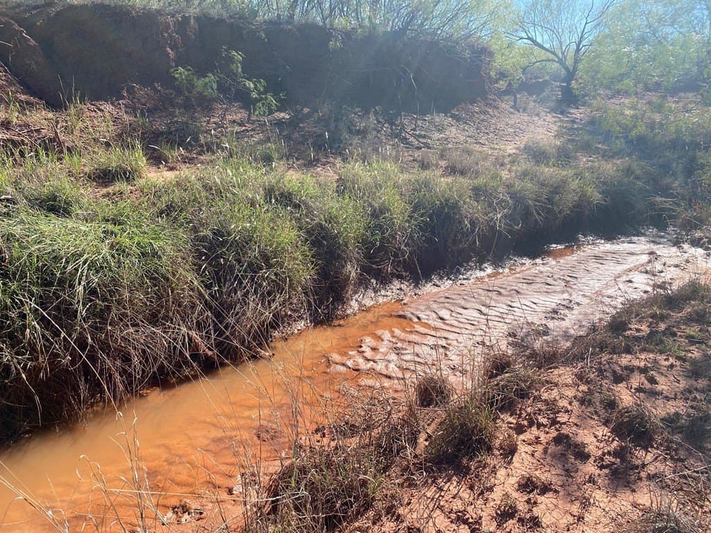 75 acres in Mitchell County - photo 9