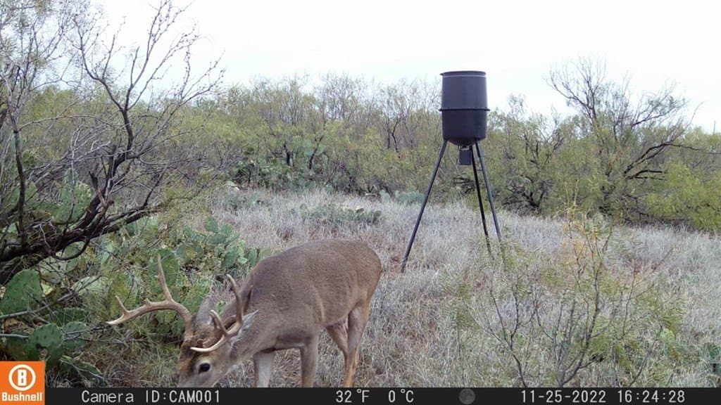 75 acres in Mitchell County - photo 31