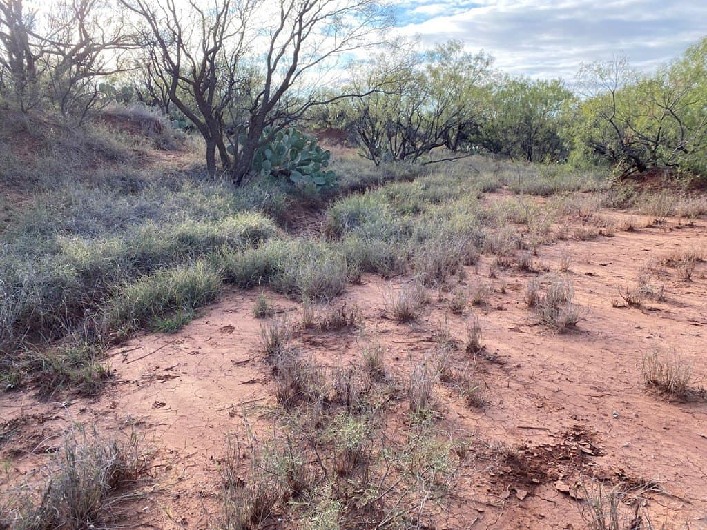 75 acres in Mitchell County - photo 10