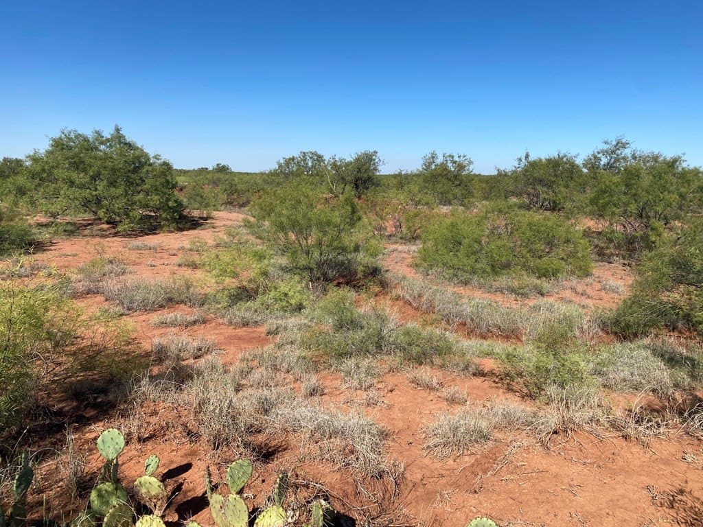 75 acres in Mitchell County - photo 2
