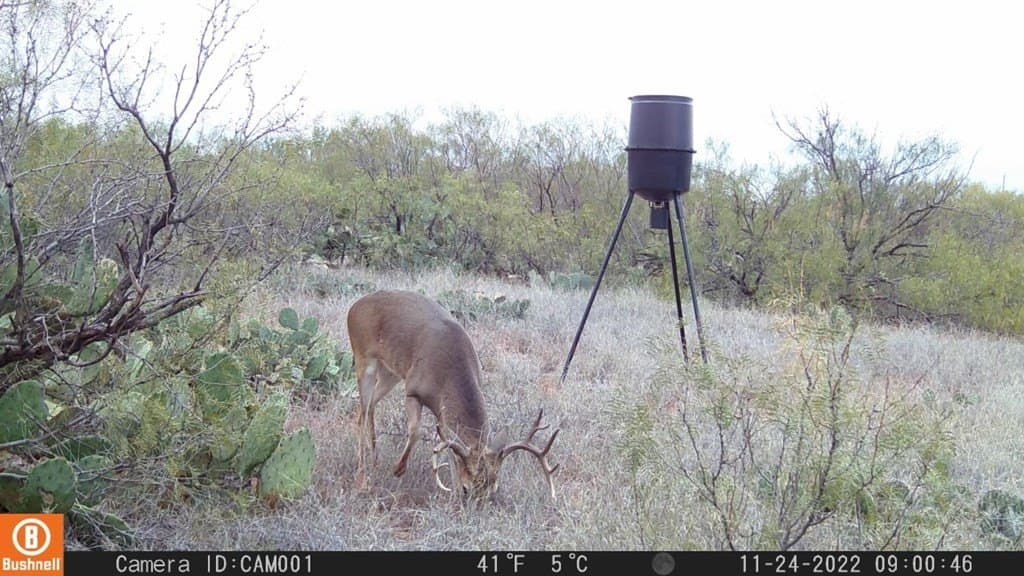 75 acres in Mitchell County - photo 27