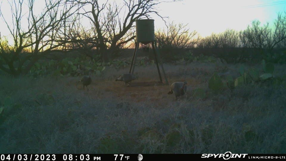 75 acres in Mitchell County - photo 33