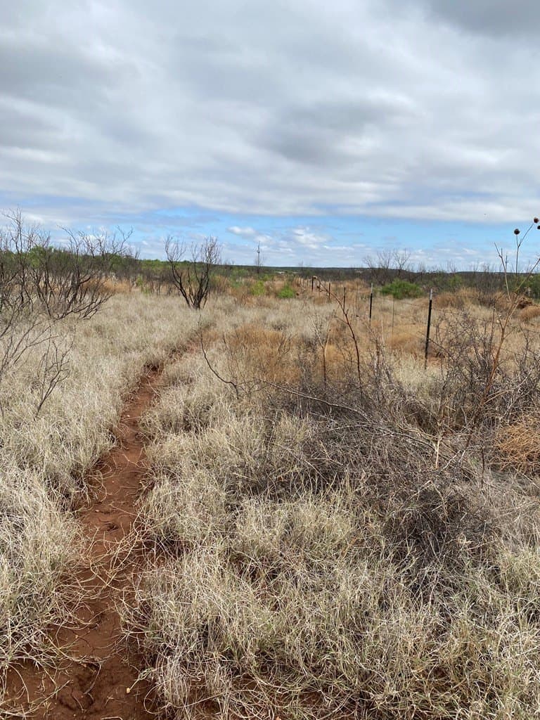 75 acres in Mitchell County - photo 20