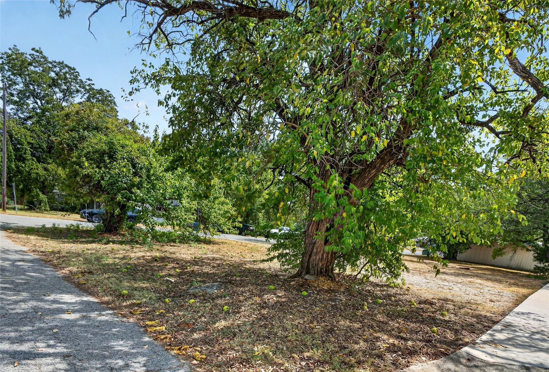 0.17 acres in Grayson County - photo 6