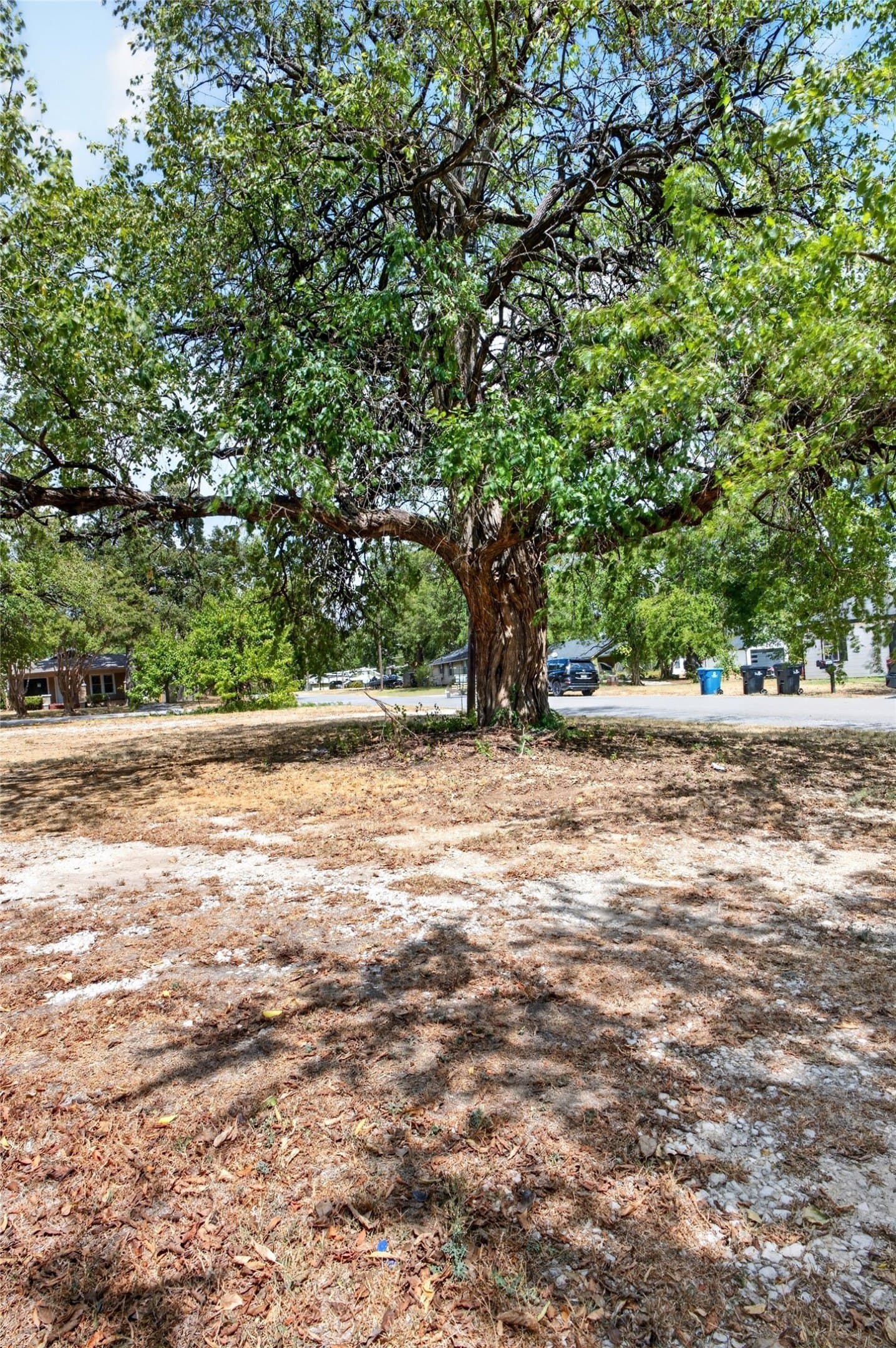 0.17 acres in Grayson County - photo 7