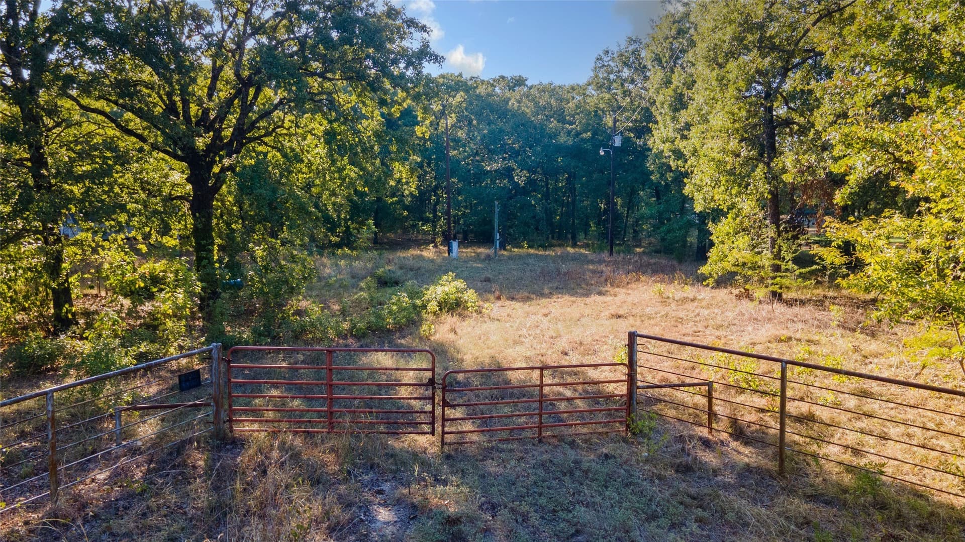 6 acres in Rains County - photo 5