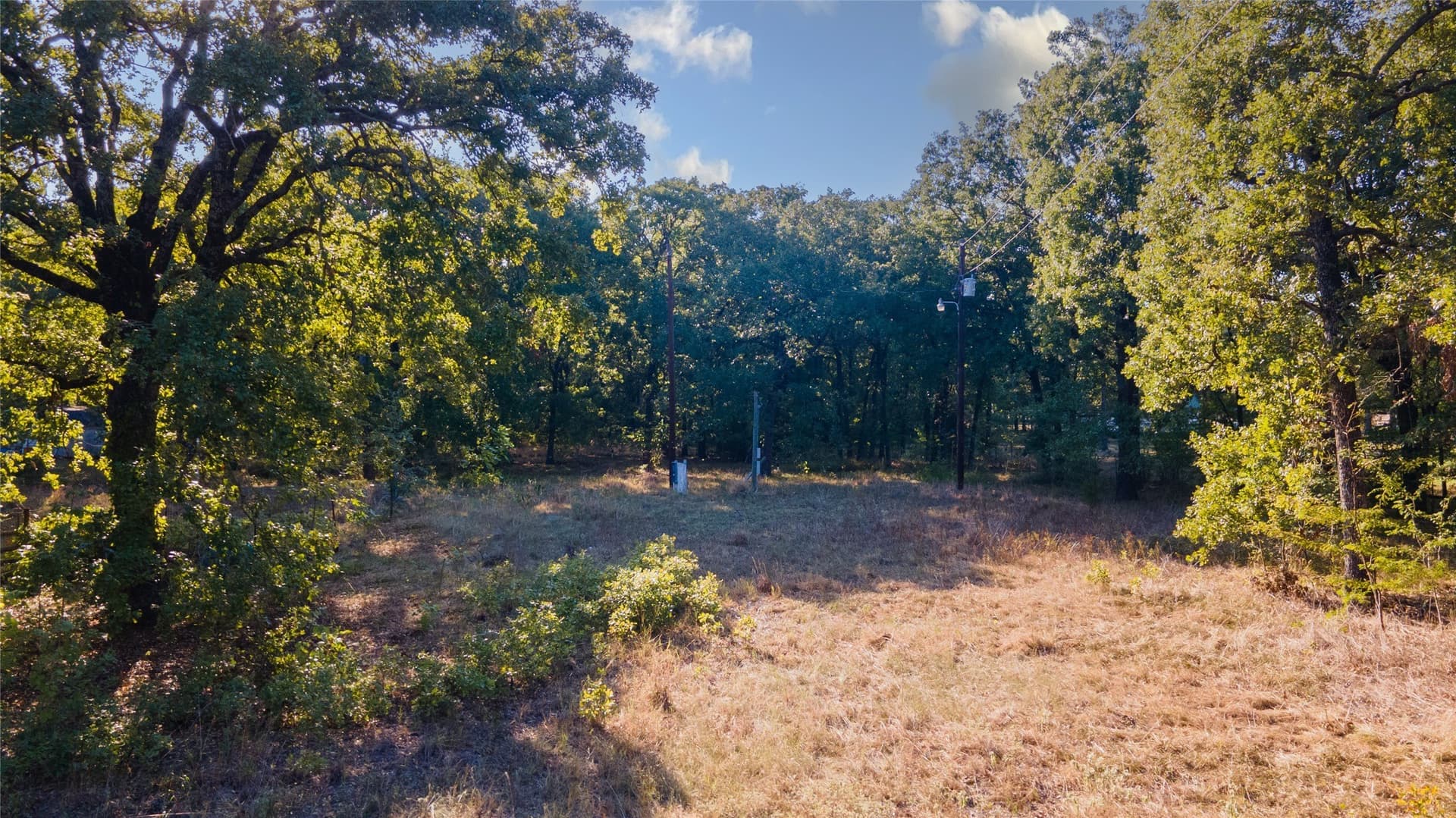 6 acres in Rains County - photo 6
