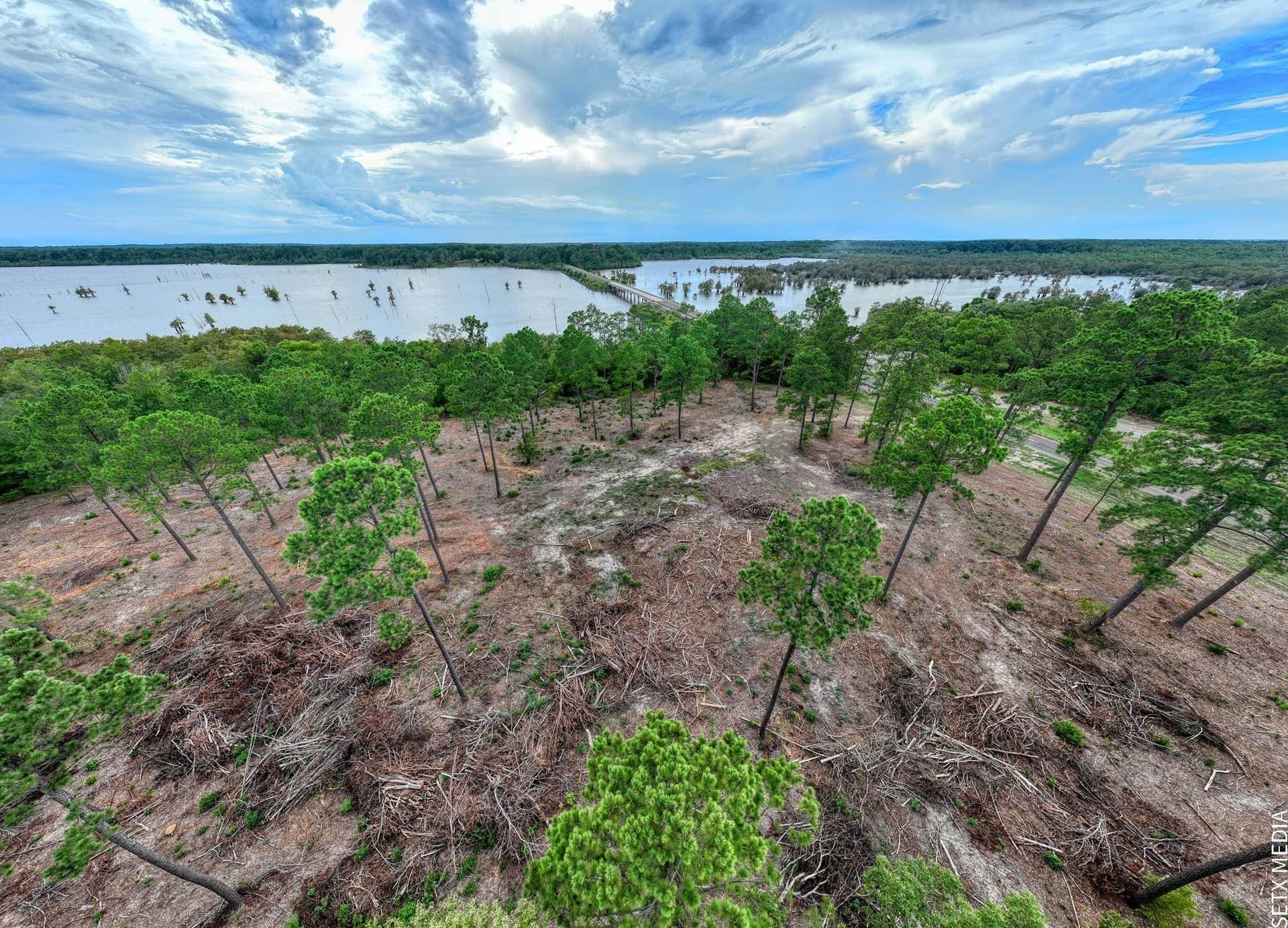 1.5 acres in Texas County featured view