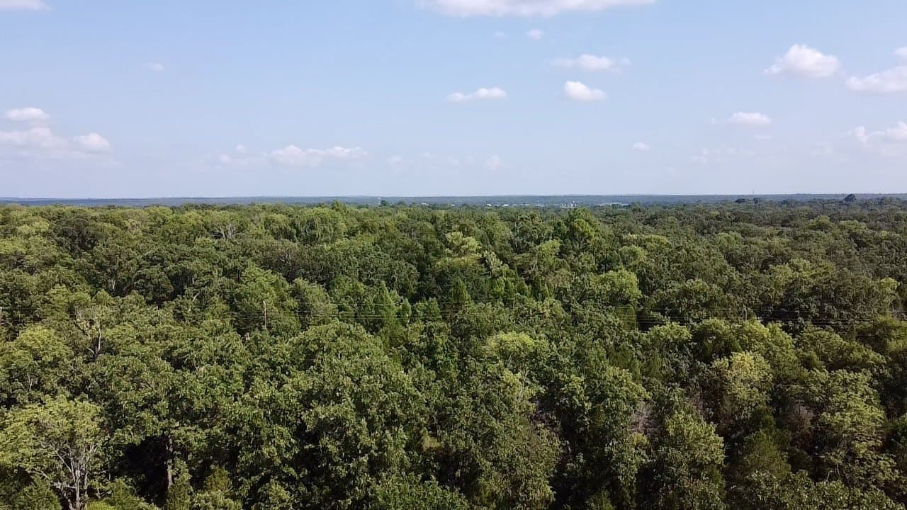 0.03 acres in Henderson County - photo 8