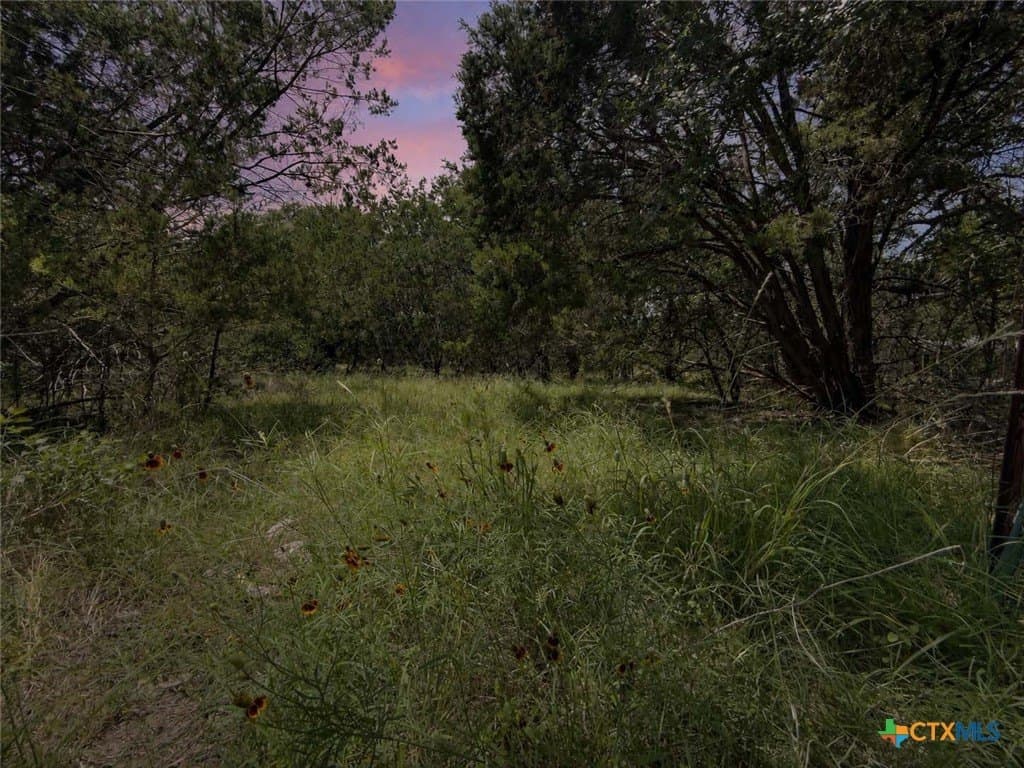 3.62 acres in Bell County - photo 7