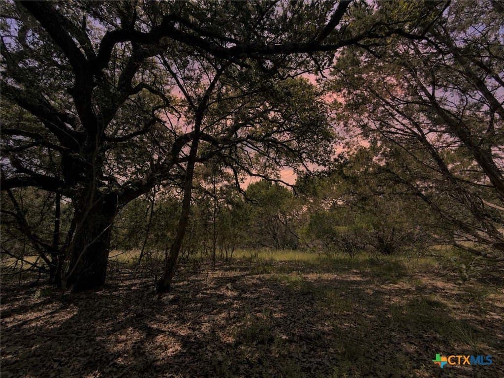 3.62 acres in Bell County - photo 6