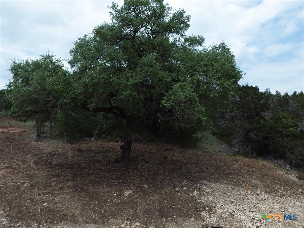 1.44 acres in Bell County gallery image 4