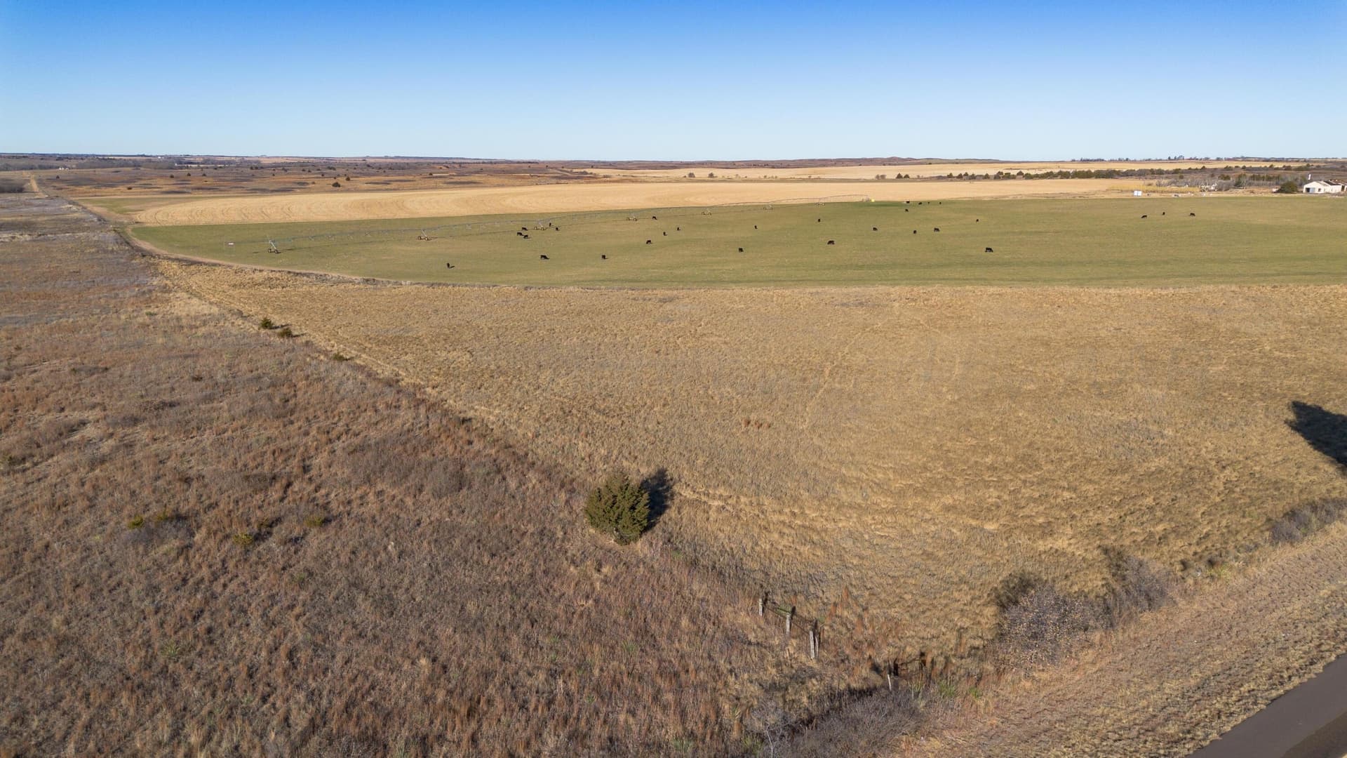 151 acres in Wheeler County gallery image 2