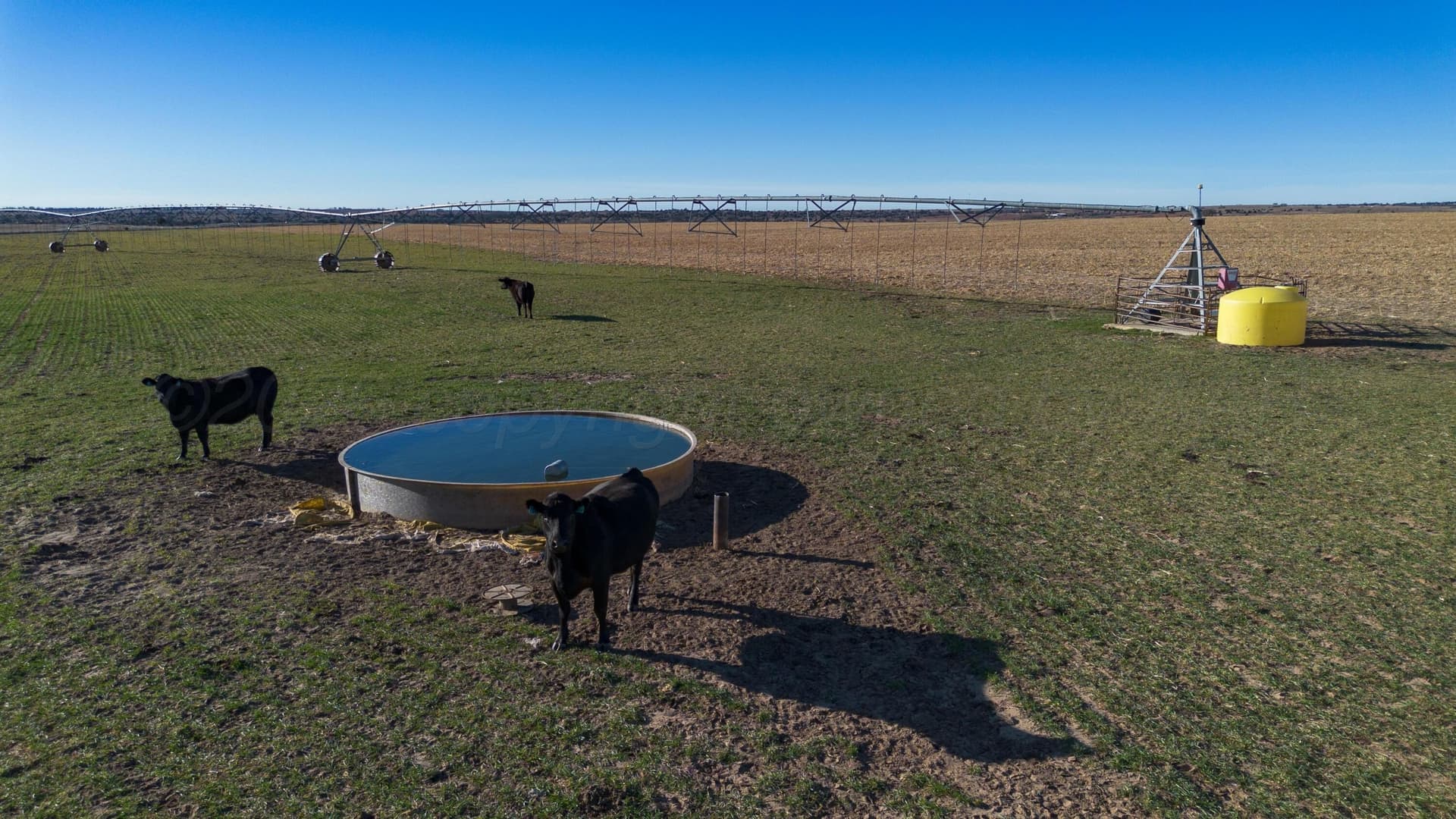 151 acres in Wheeler County - photo 13
