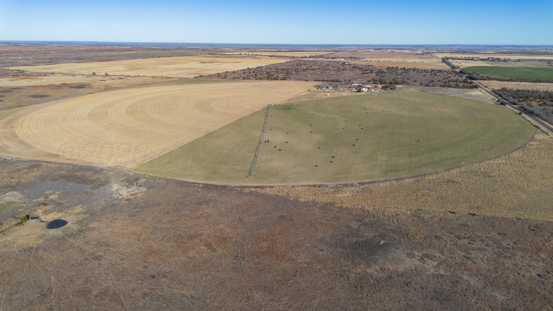 151 acres in Wheeler County gallery image 4